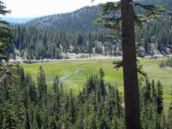 Looking Down to Where We Are Headed