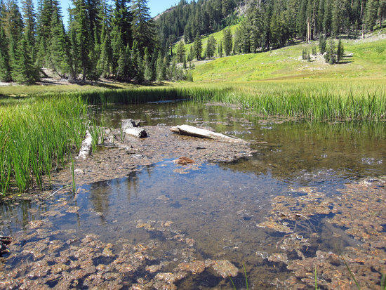 Cold Boiling Lake 3