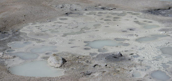 Spots of Boiling Mud and Murky Water