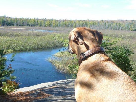 Quick break at High Rock, overlooking the snake-like Oswegatchie