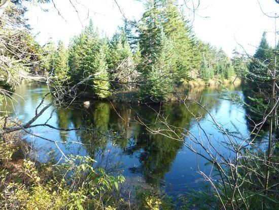 Scenic bend on the Oswegatchie