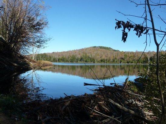 Arriving at Glasby Pond, Cat Mountain in the distance