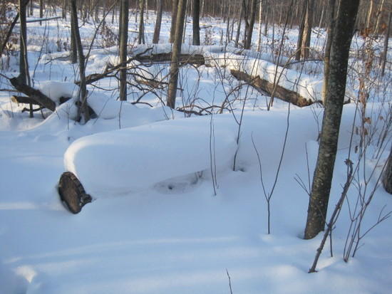 log