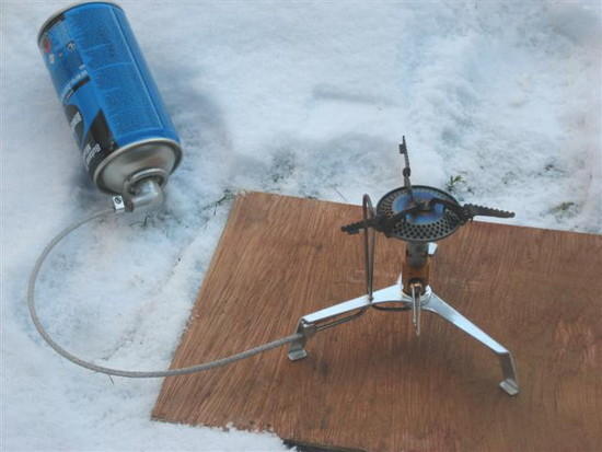 Gnat on stand in snow