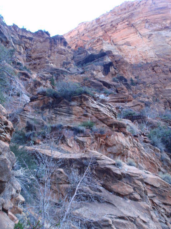 The trail isn't obvious looking up
