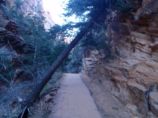 Looking into Refrigerator Canyon