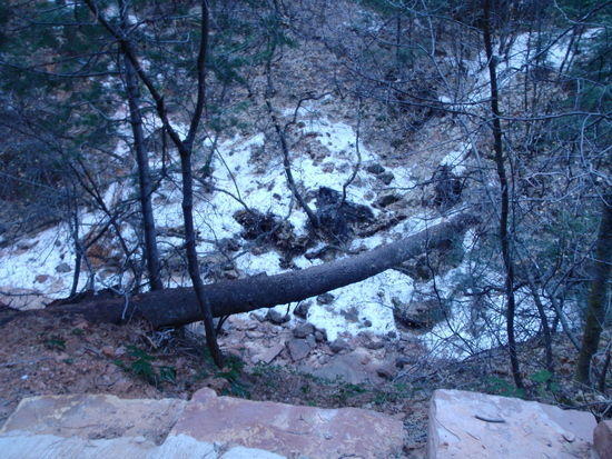 Snow in Refrigerator Canyon