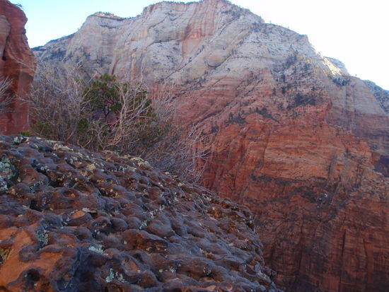 View toward Observation Point