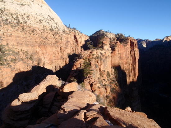 Looking back from the halfway point