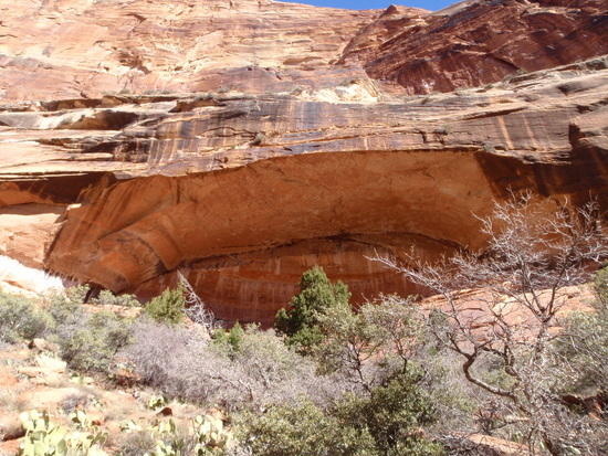 Arch at Big Bend