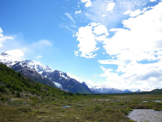 nt