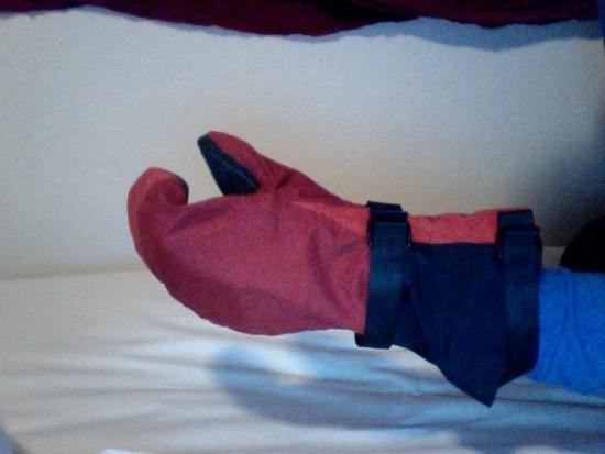 Gore Mittens
