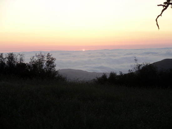 Dawn at Doe camp