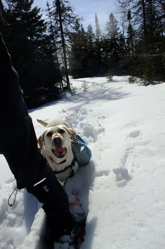 kaya in tracks