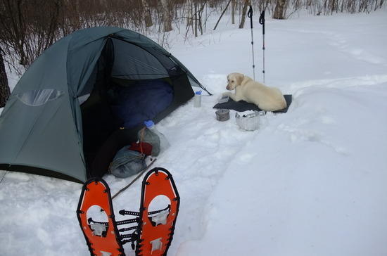 kaya in camp