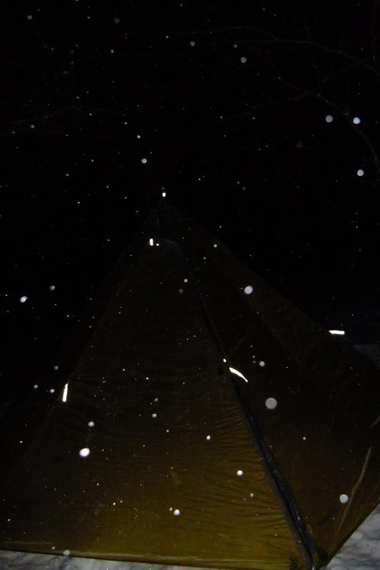 shelter at night