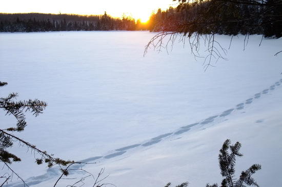 setting sun