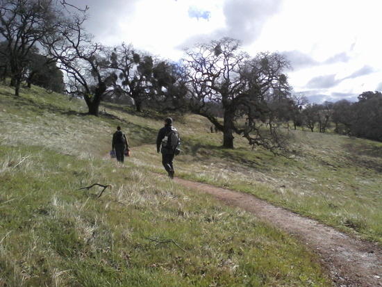 BPL Henry Coe 2011