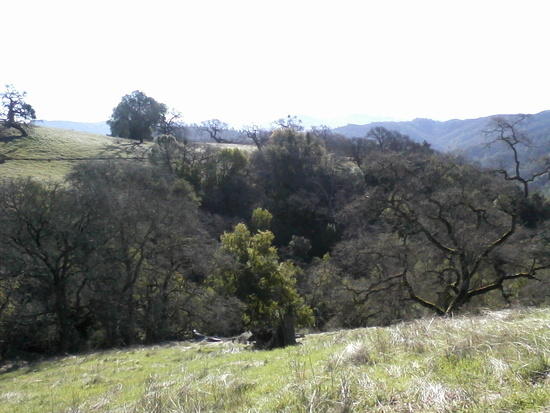 BPL Henry Coe 2011 Hike