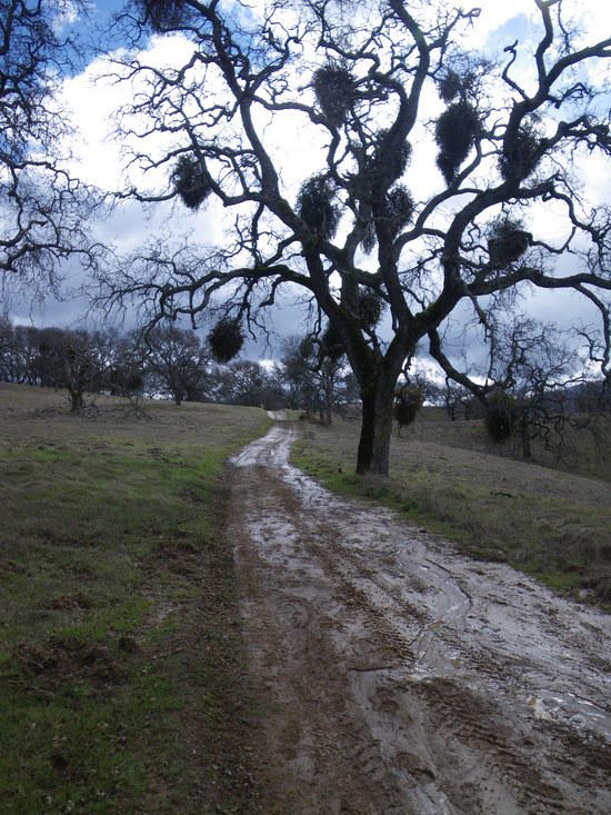 On the trail