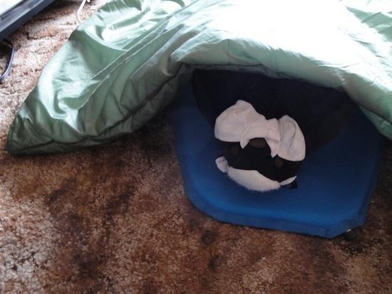 Quilt3