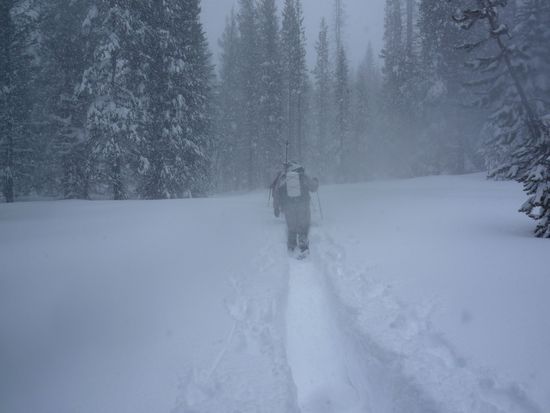 breaking trail