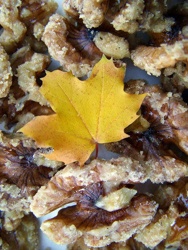 maple sugared walnuts