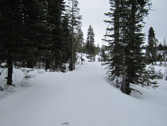 Looking back at th