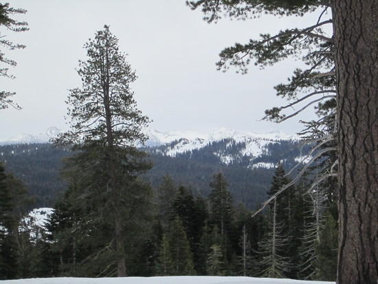view