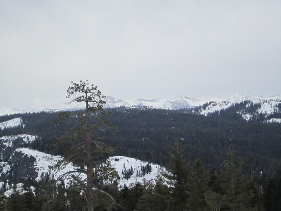 view