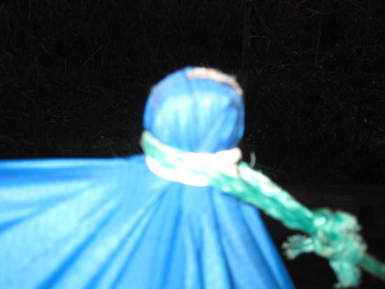 Tarp Pole