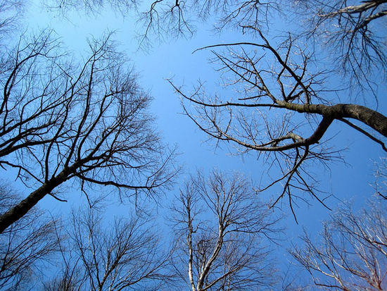 Our first and last real glance at clear skies.