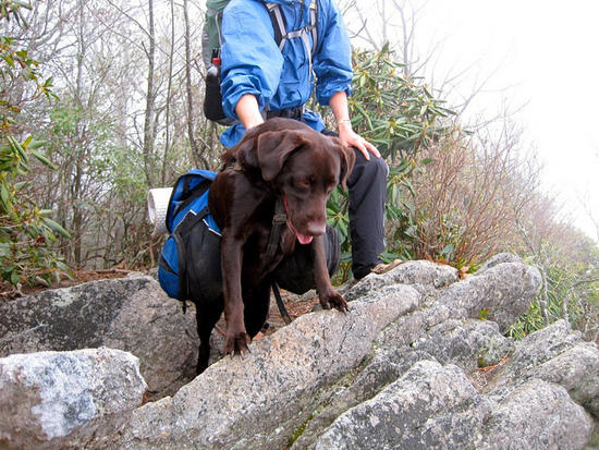 Rooney, getting a little too close to the edge.