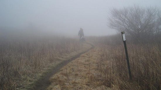 Ascending of the balds between Carvers Gap and Roan Mountain. Visibility was very poor.