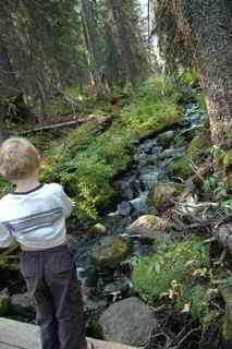 Just love that running water!