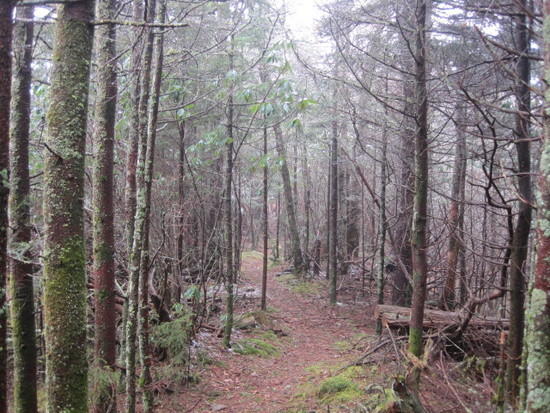 trail