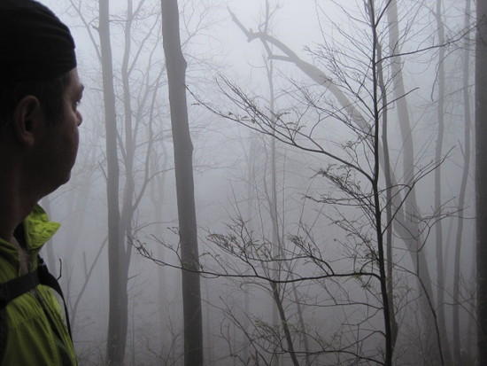 fog