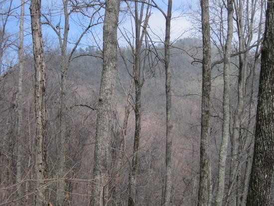 woods Mountain