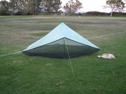 hexi-dog