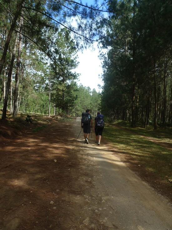 At the top, a relaxing walk through national forest lands.