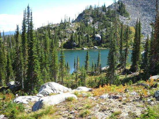 selway11