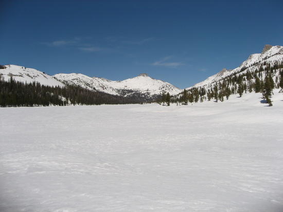 Tilden