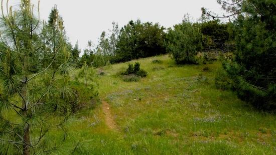 grasslands