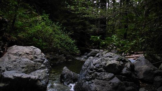 camp view 1