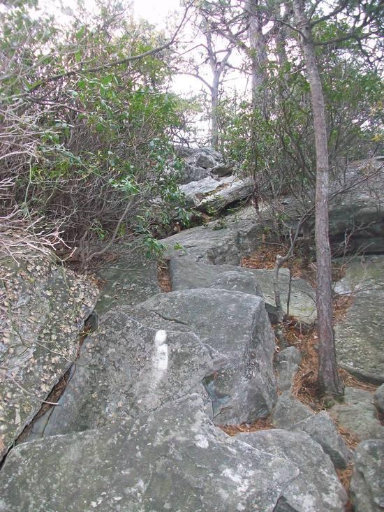 rocks