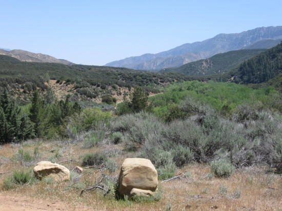sespe trip