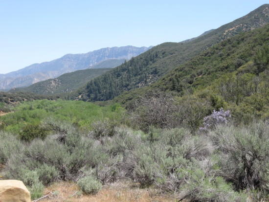sespe trip