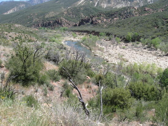 sespe trip