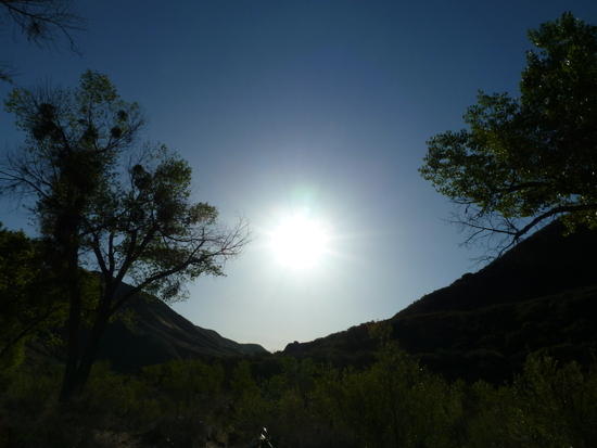 sun