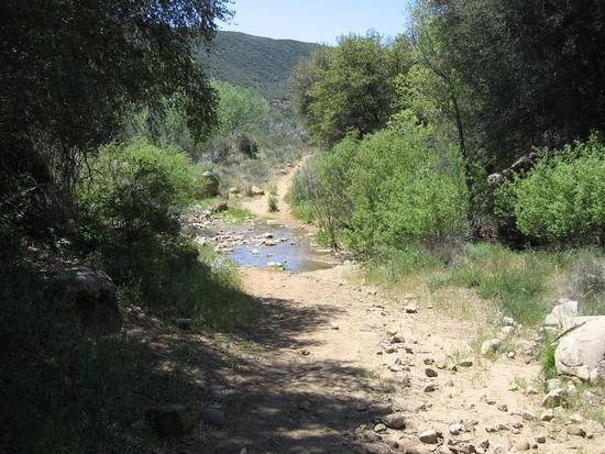 Trail